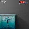 WPS-Smudge