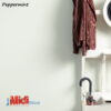 PeppermintWallPaintSample