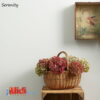 WPS-Serenity